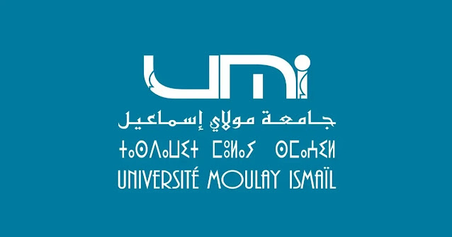 Concours Université Moulay Ismail 2025 (18 postes)